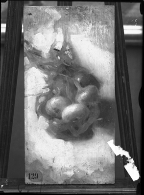 Natura morta con cipolle, dipinto a olio di Pellizza da Volpedo