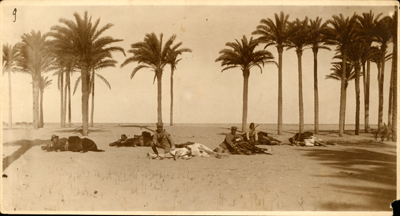 Libia, esercitazioni della cavalleria